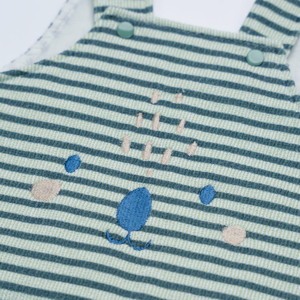 Jardineira +t-shirt