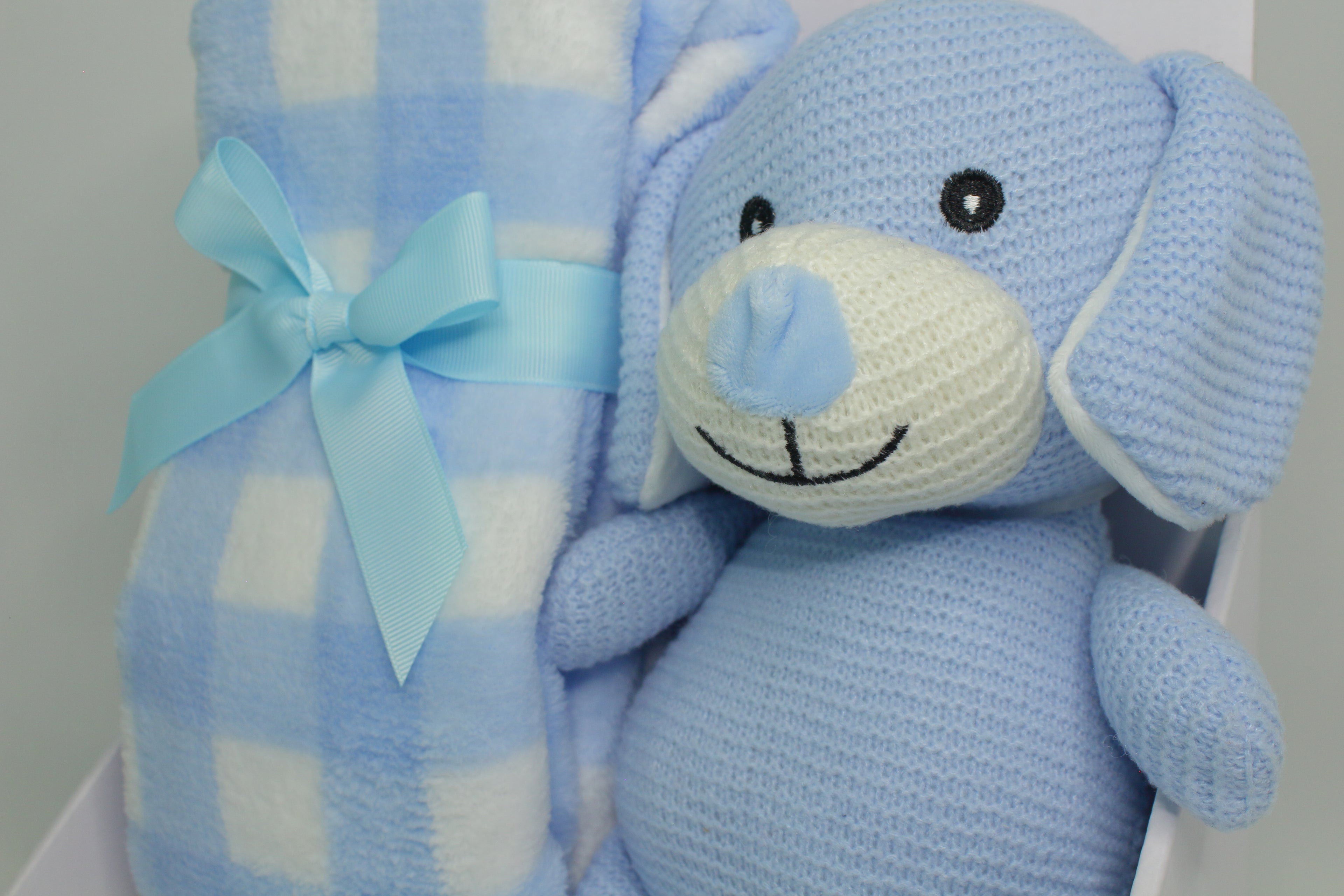 Presente manta e cão de peluche